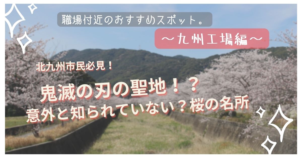 従業員が紹介する職場付近のおすすめスポット。この時期にぴったり！春の散歩コース！