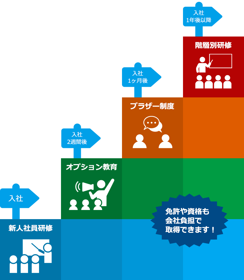 入社後の育成スケジュール